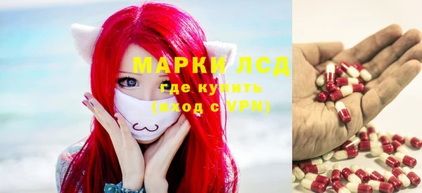 ГАЛЛЮЦИНОГЕННЫЕ ГРИБЫ Чегем