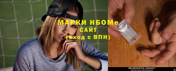 стаф Кодинск