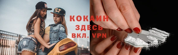 ГАЛЛЮЦИНОГЕННЫЕ ГРИБЫ Чекалин
