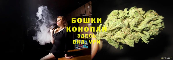 хмурый Каменка