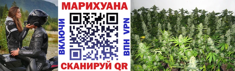 купить  цена  Зверево  Бошки Шишки сатива 